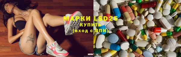 индика Надым