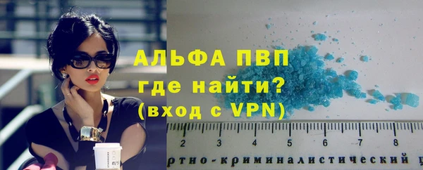 индика Надым