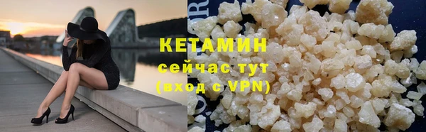 индика Надым