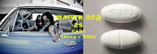 индика Надым
