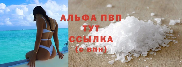 индика Надым