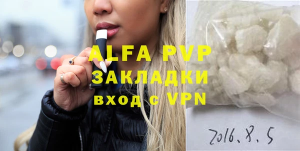 индика Надым