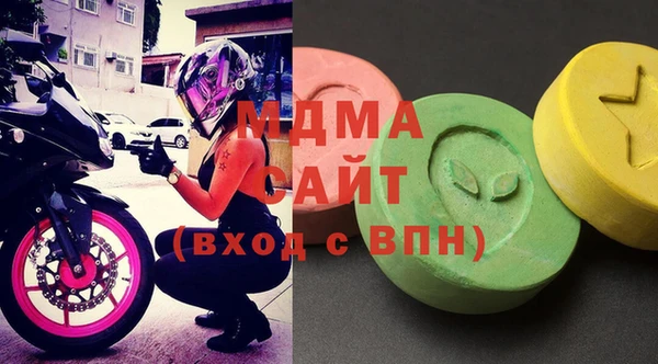 индика Надым