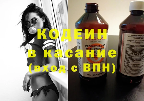 индика Надым