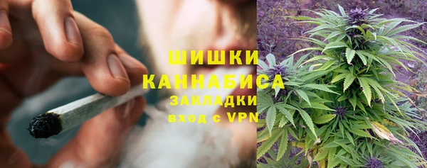 индика Надым