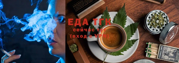 индика Надым