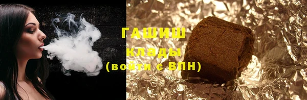 индика Надым