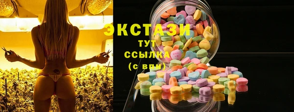 индика Надым