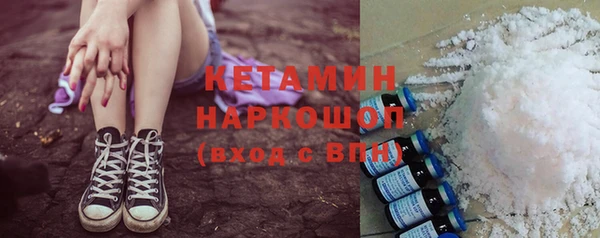 индика Надым