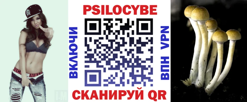 Купить где  Очёр  Псилоцибиновые грибы мухоморы 